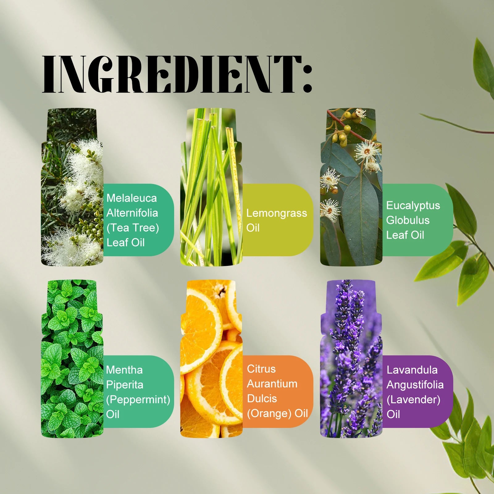 Plant Essential Oil Gift Set – Moisturizing & Relaxing